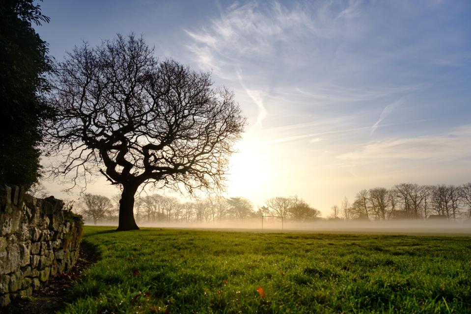 Disgruntled locals in Preston, Lancashire, have voiced their concerns about Ashton Park