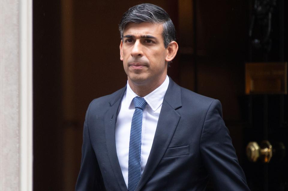 PM Rishi Sunak has inflicted the damaging by-election results on the Tory party, says Nadine Dorries