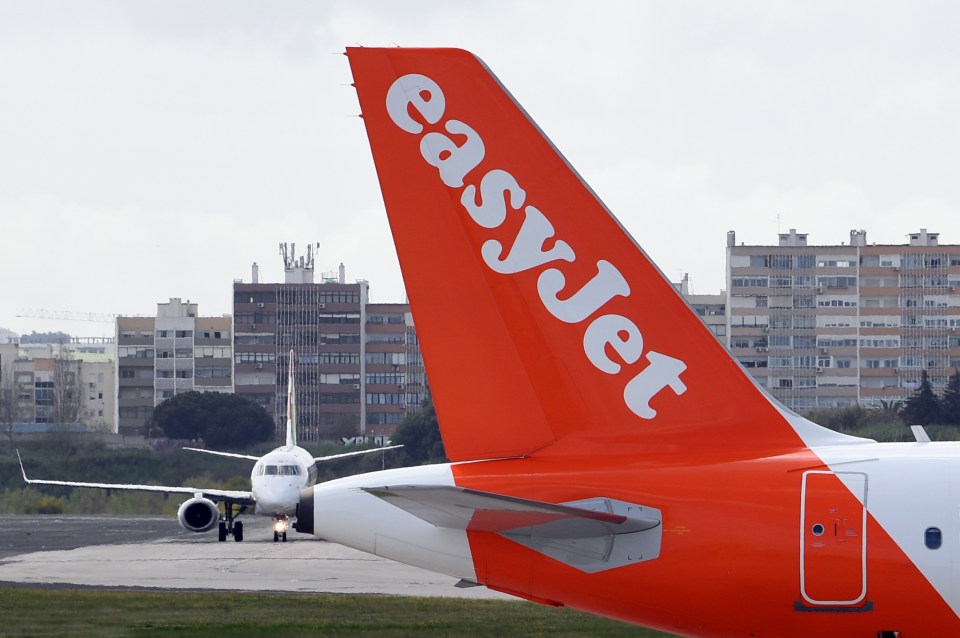 An EasyJet flight was grounded after the pilot was bitten by a mosquito