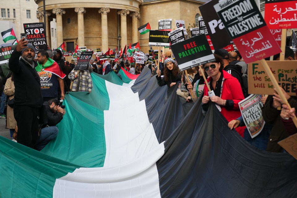 Supporters of Palestine carry a large Palestinian flag during the rally