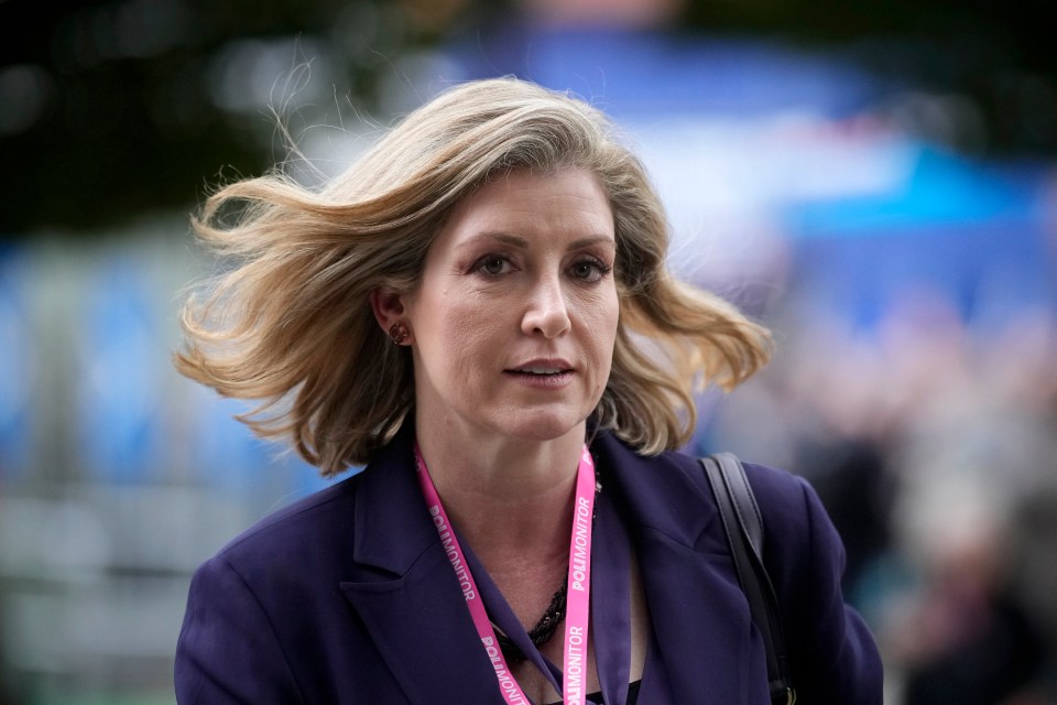 Penny Mordaunt could be the next leader of the Tories