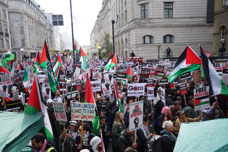 Protesters during a March for Palestine in London today