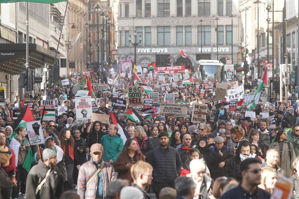 Up to 50,000 people joined pro-Palestine protests in London