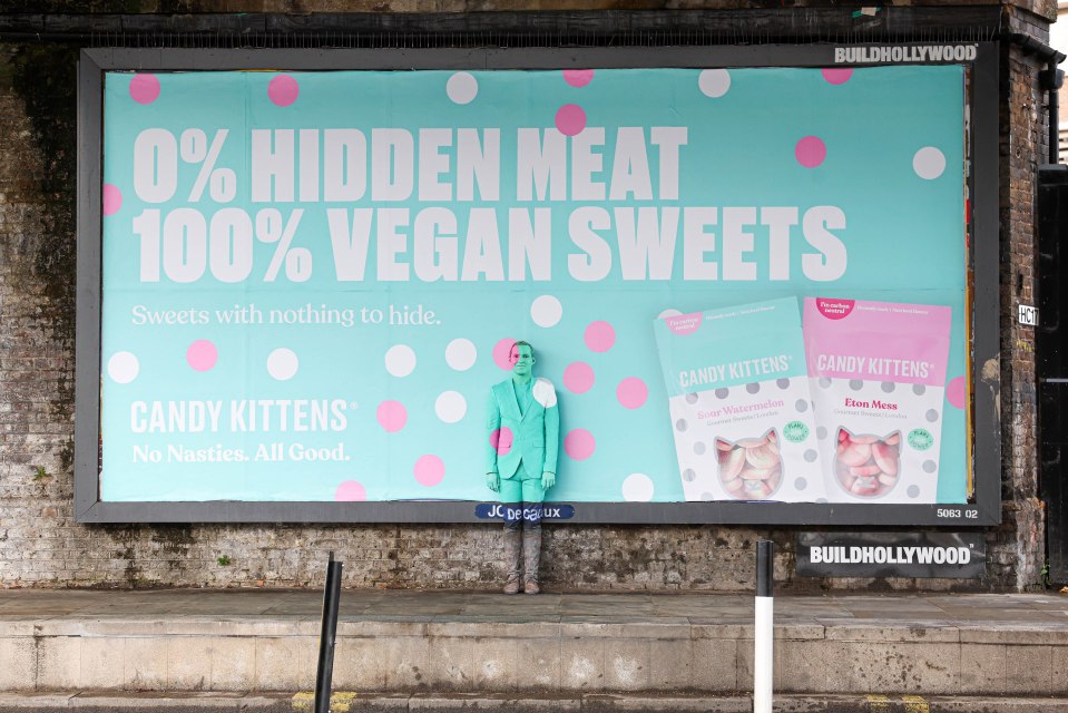 Jamie recently camouflaged into a Candy Kittens billboard - and completely disappeared