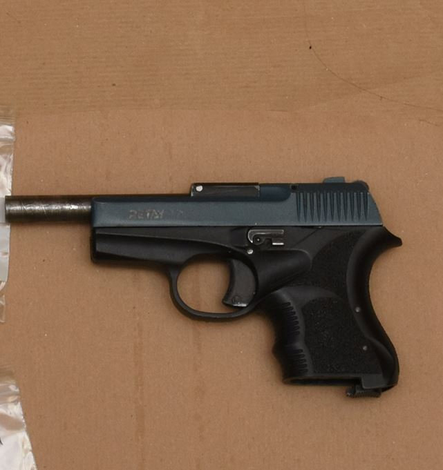 The pistol which Wischhusen confronted police with at his home