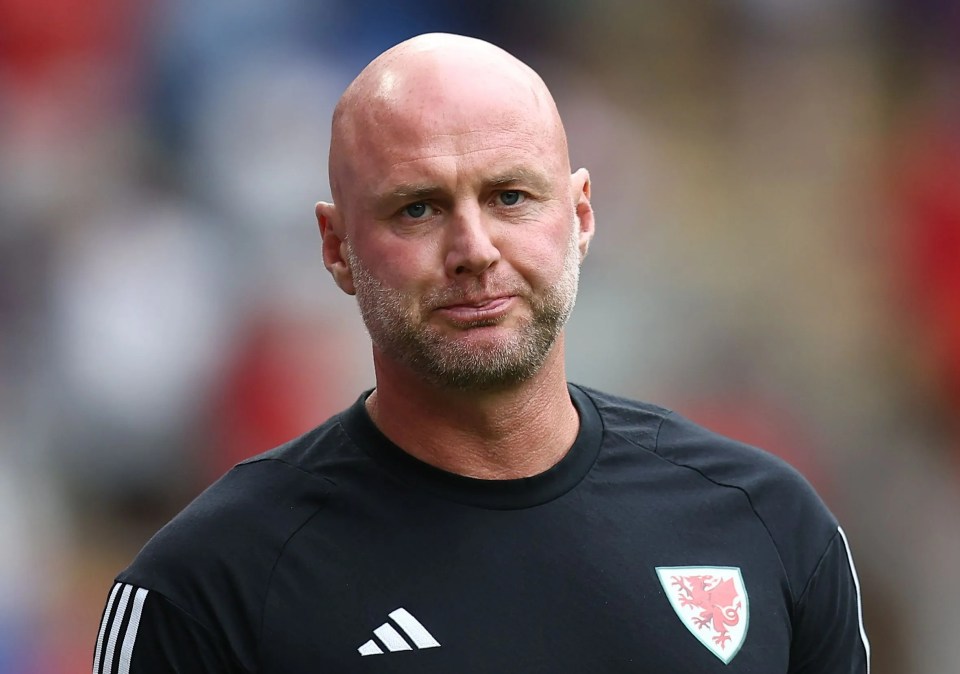 Rob Page managed Wales at last year's World Cup