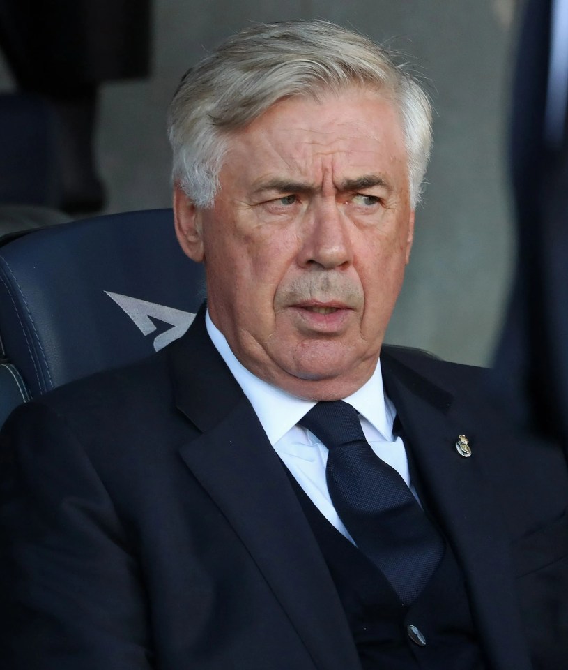 Carlo Ancelotti has been impressed with the Spanish stopper