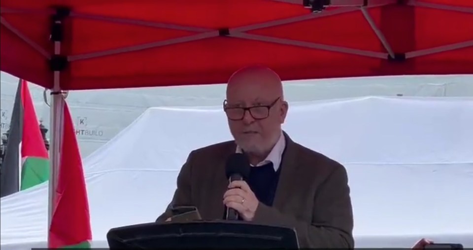 Andy McDonald speaking at a pro-Palestine rally this weekent