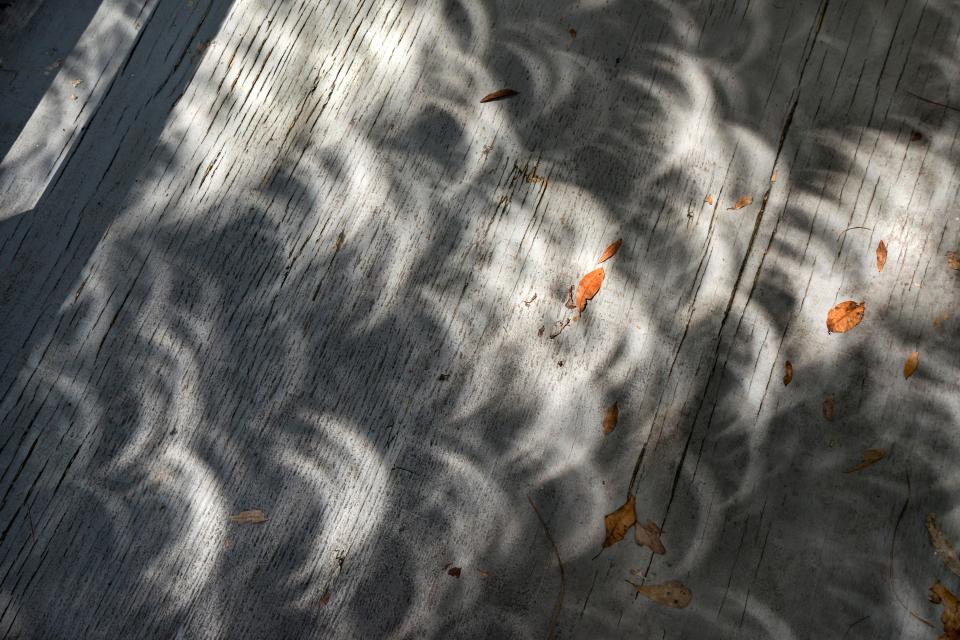 As an eclipse passes overhead, the shadows will be dappled with tiny, bright crescents