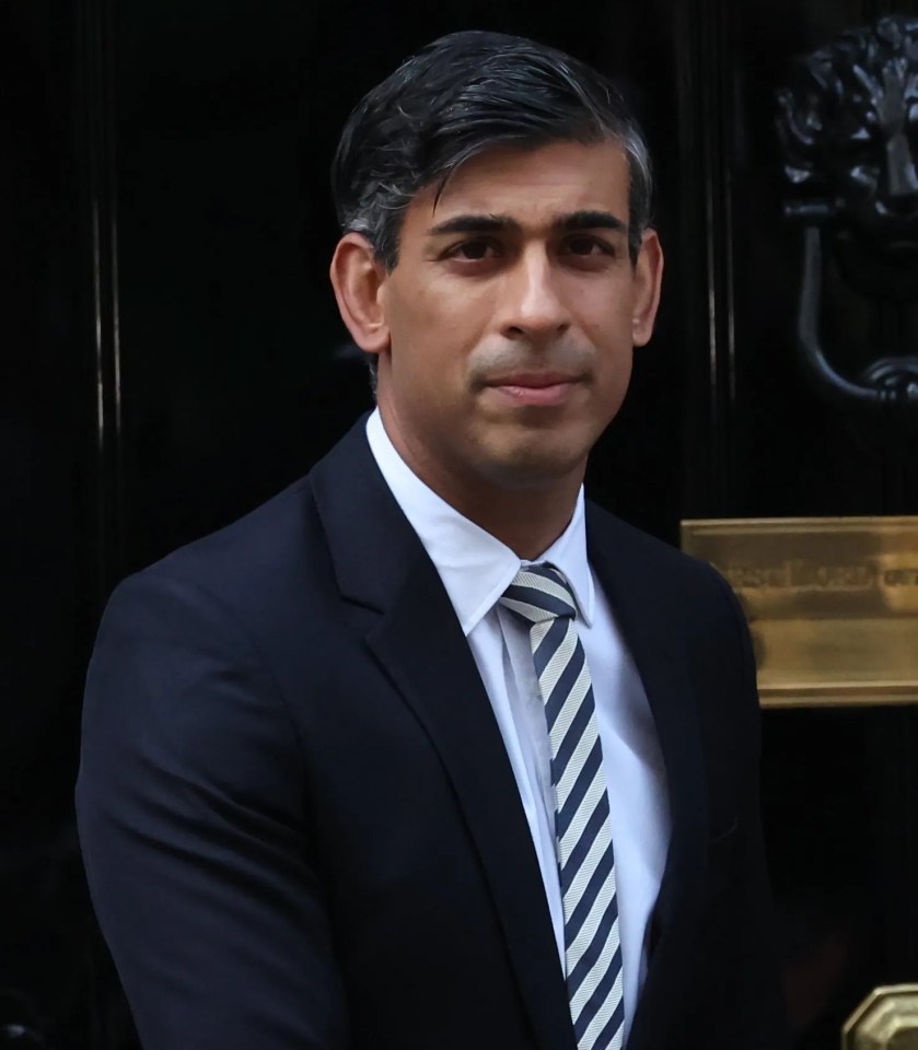 Rishi Sunak is facing pressure to speed up the building of new houses to win back younger voters, senior Tories say