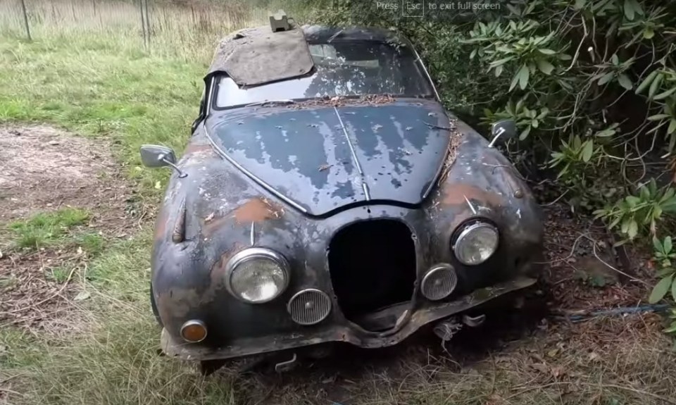 A stunning old Jaguar in the grounds of the house