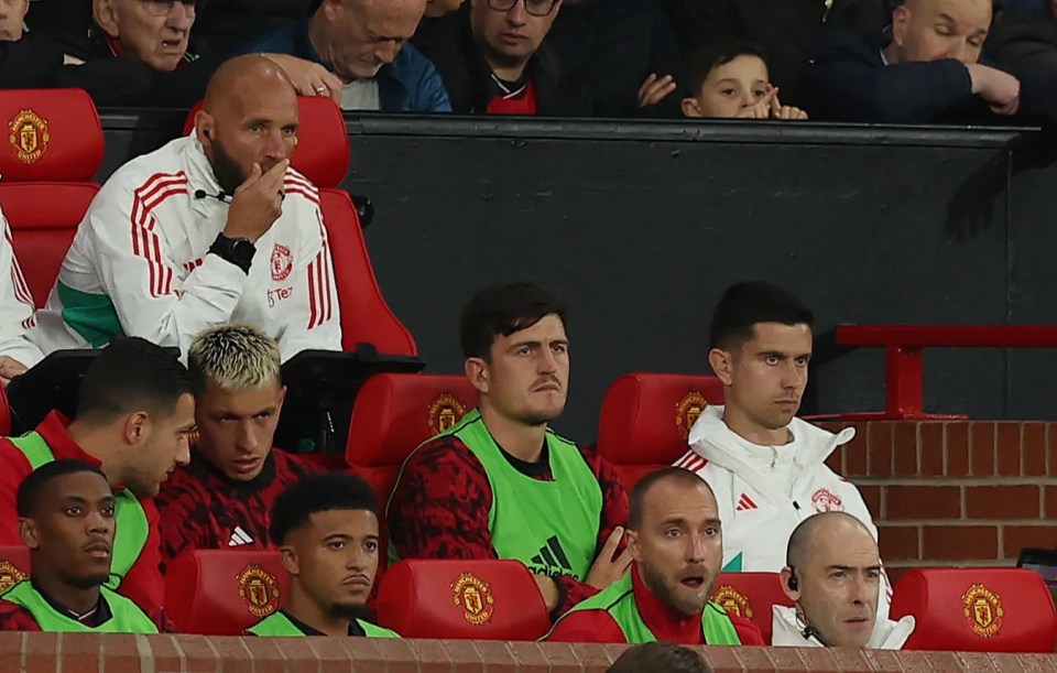 Maguire has fallen down the pecking order at Manchester  United