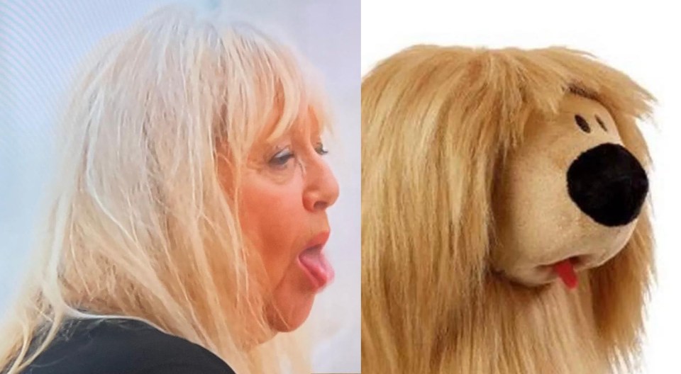 This week, Judy Finnigan on A Family Affair meets Dougal from The Magic Roundabout