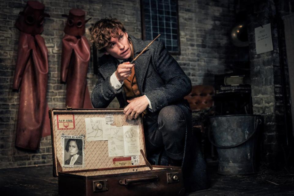 Eddie Redmayne went on to star in the Fantastic Beasts franchise after appearing on Doctors