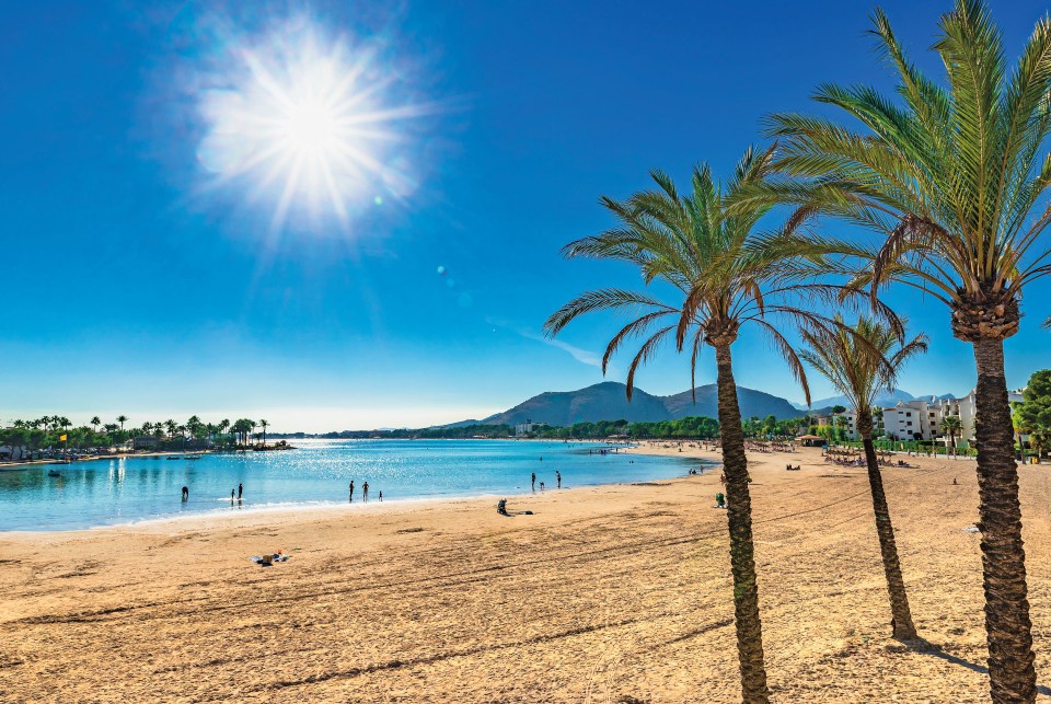 Platja de Alcudia, beautiful sand beach with palm trees on Mallorca, Spain Mediterranean Sea