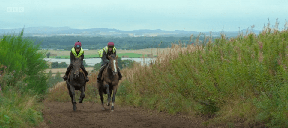 Tom investigated horse racing and what is being done to protect the horses