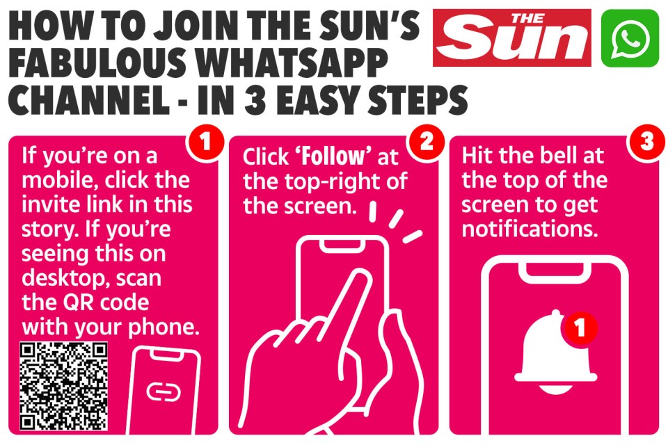 How to join The Sun's Fabulous WhatsApp channel