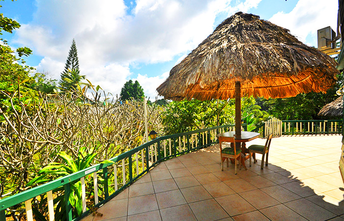 They run the Belize Jungle Dome in the tropical rainforest