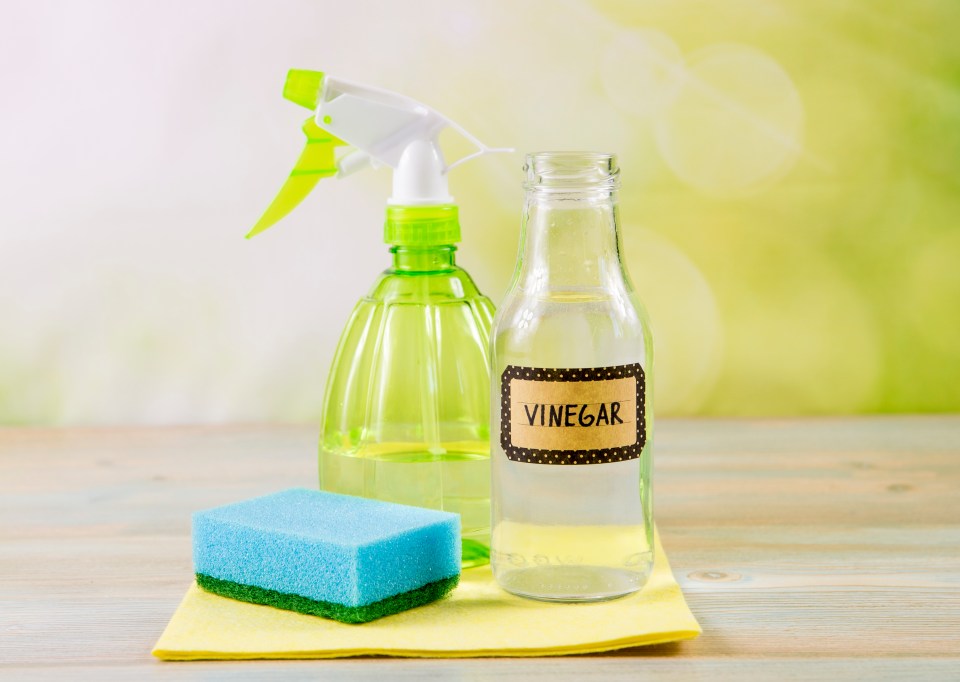 Mrs Hinch fans suggested that using white vinegar will make your clothes smell great