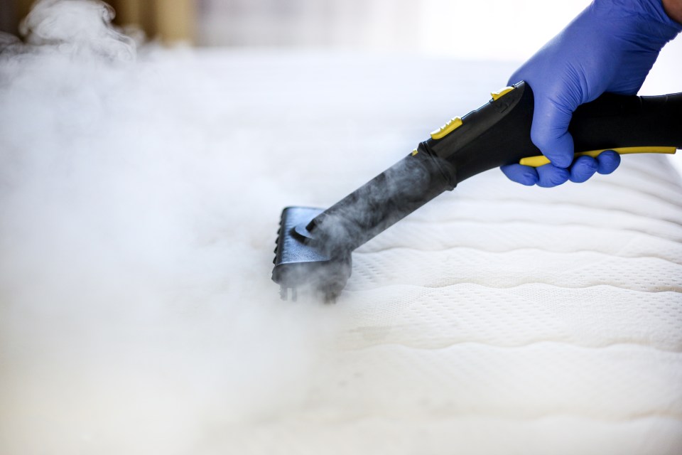 Cleaning experts have shared how you can expel bed bugs for good