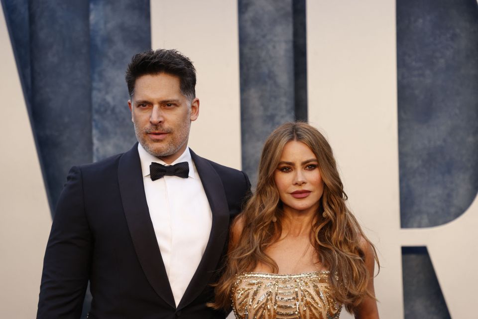 Joe Manganiello said Sofia Vergara was his ideal woman before they got together