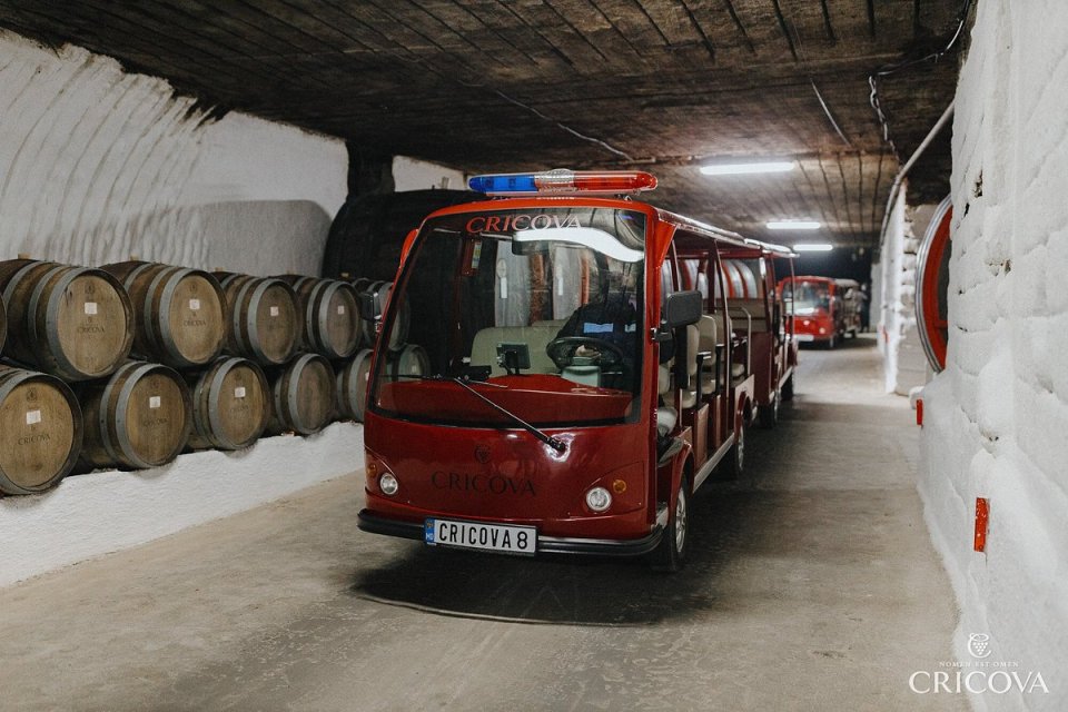 You can get taken through the vineyard by electric "train"