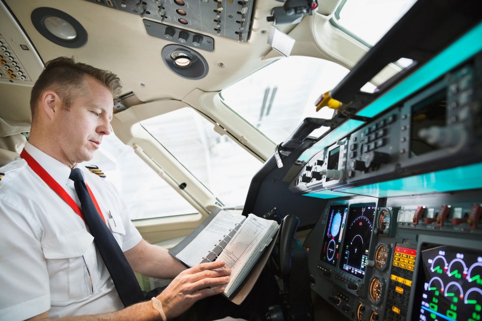 Pilots aren’t allowed to eat the same meals as passengers in case they become sick (stock image)