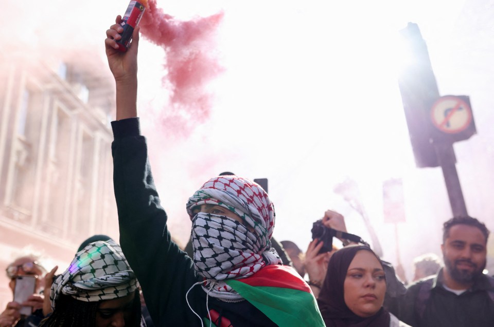 One protestor holds a coloured smoke container aloft in London