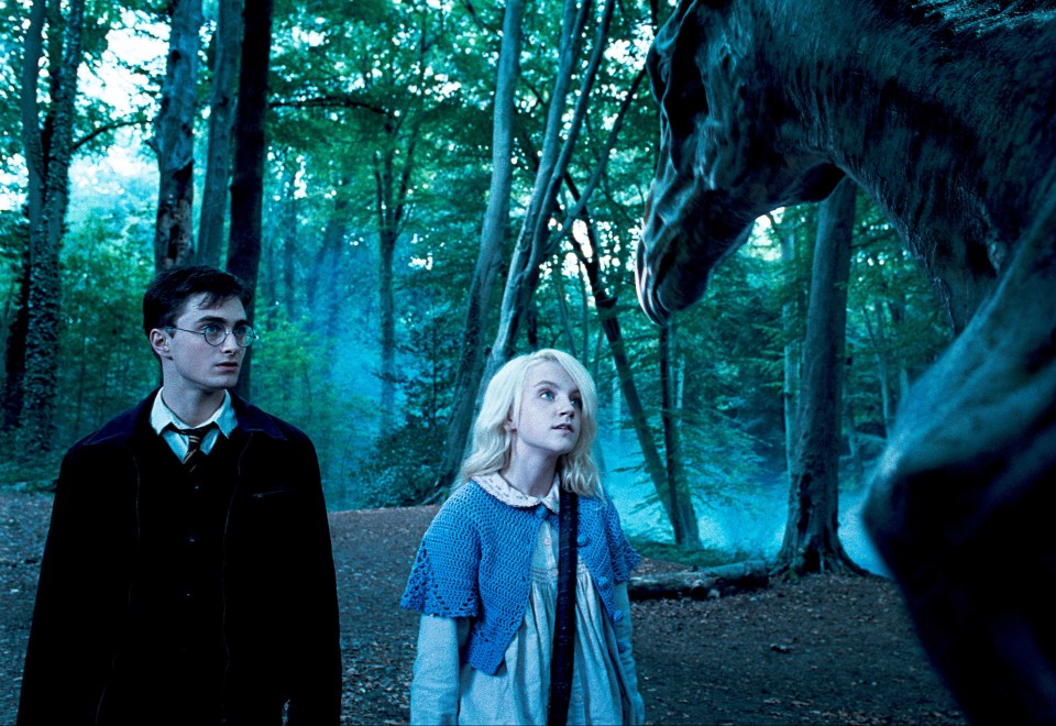 Evanna played the role of Luna Lovegood in Harry Potter