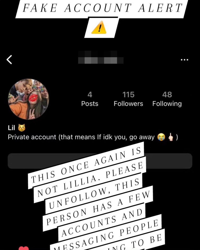 She shared a post about a fake account immitating her