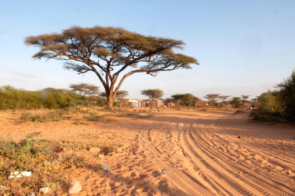 TUI has launched holidays to Kenya this winter - with safari day trips