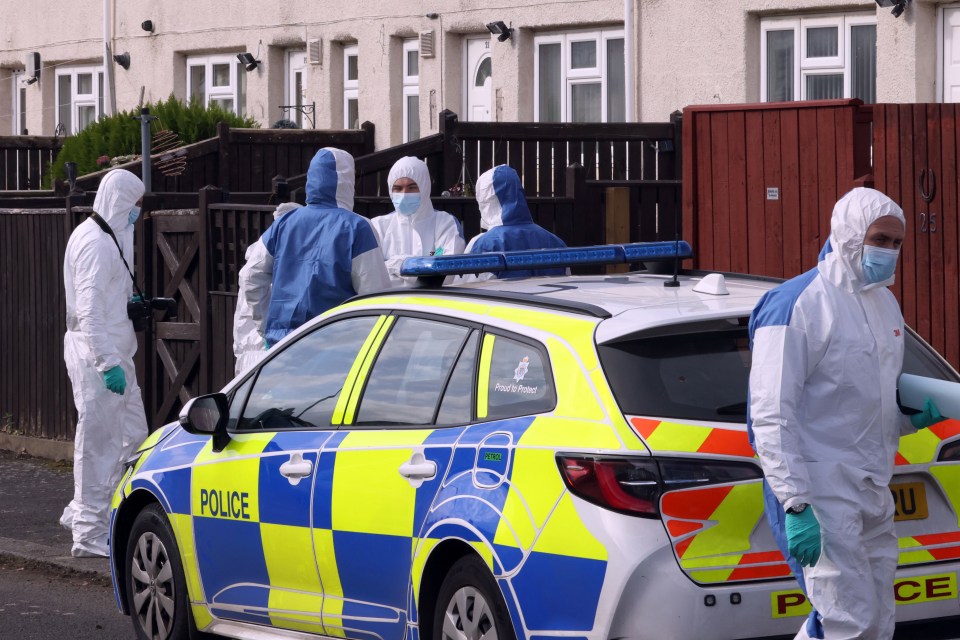 Forensic officers at the scene of the brutal mauling