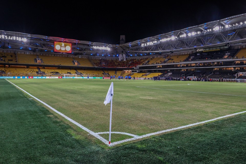 The pitch at OPAP Arena wasn't up to par, according to the Netherlands