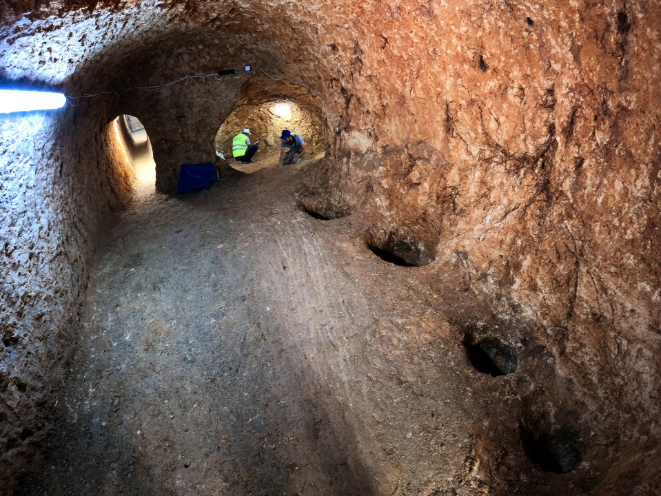 Among the stretches of tunnels, 30 chambers have been discovered so far