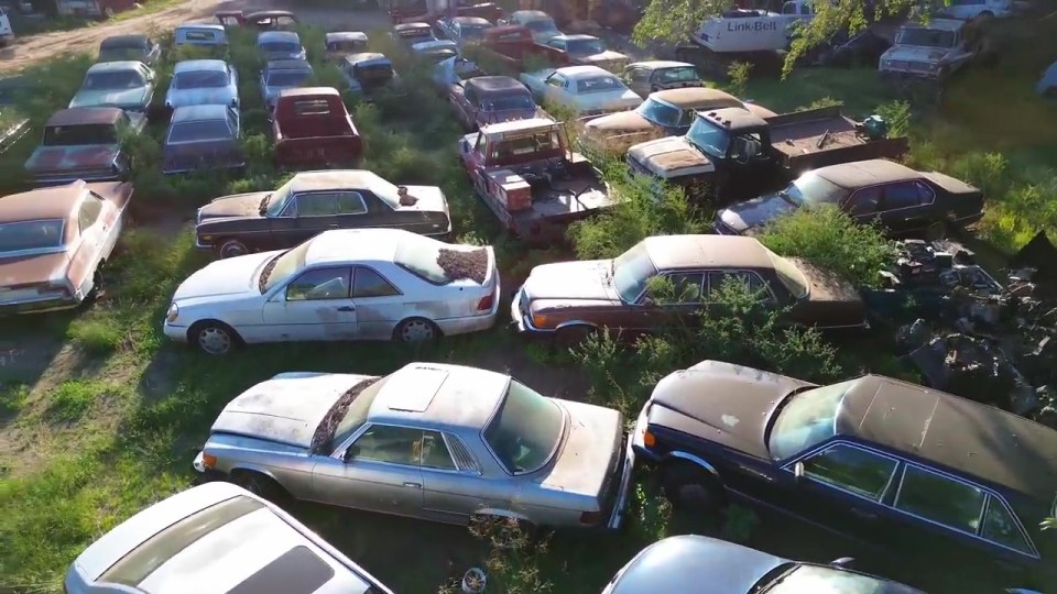 A father and son duo bought a field full of vintage cars