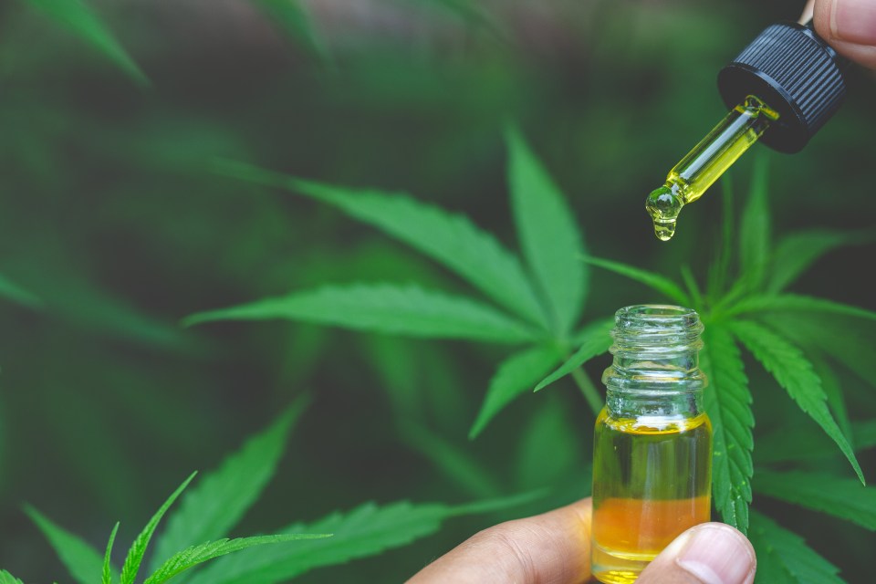 Regulators have dropped the recommended daily CBD intake from 70mg to 10mg