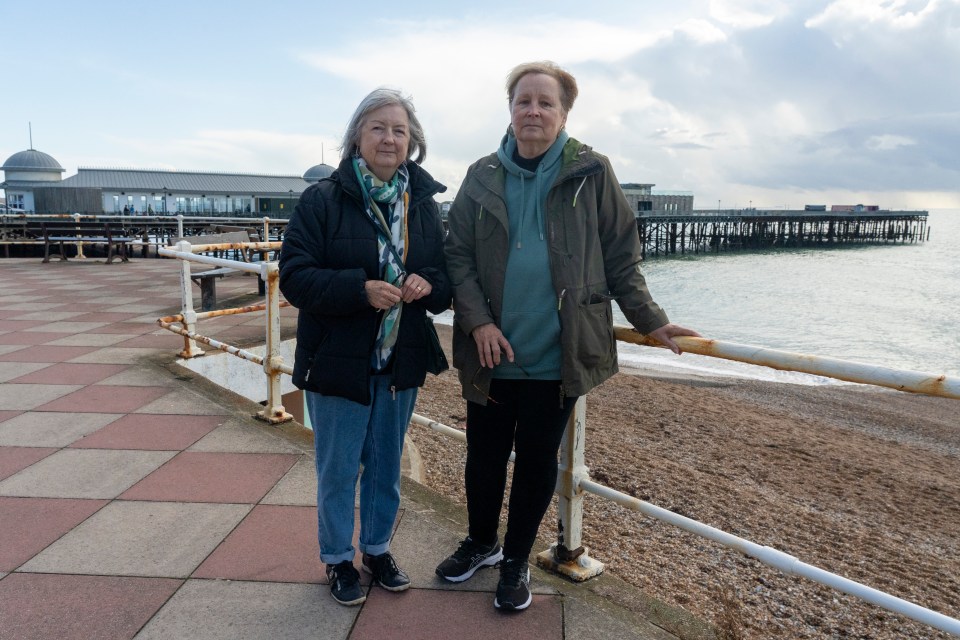 Liz Jeffries, 71, pictured with Gail Ashworth, 71, live locally, says DFLs - meaning 'Down From London' - are a problem