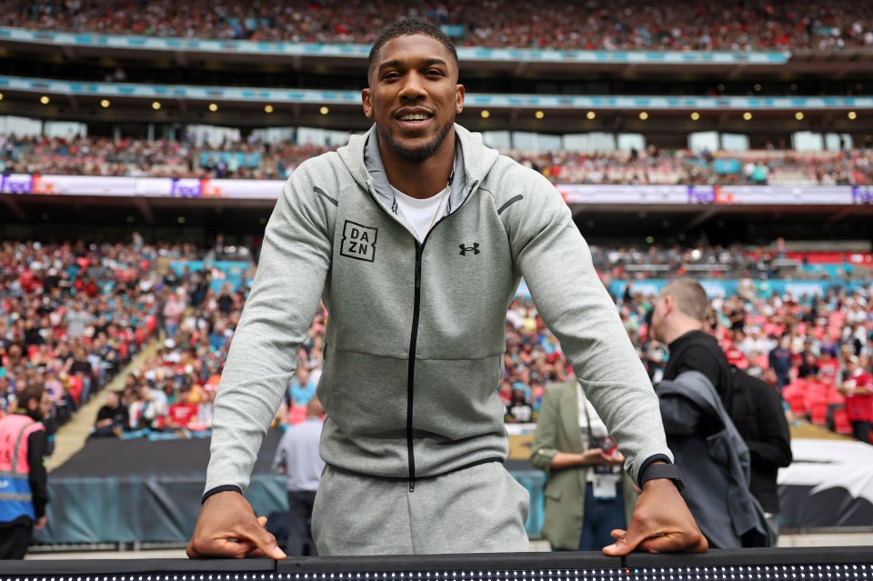 Anthony Joshua has hinted at a new career after boxing