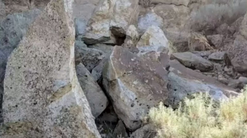 You could have 20/20 vision and a high IQ if you are able to spot the hidden rabbit in this rocky scene