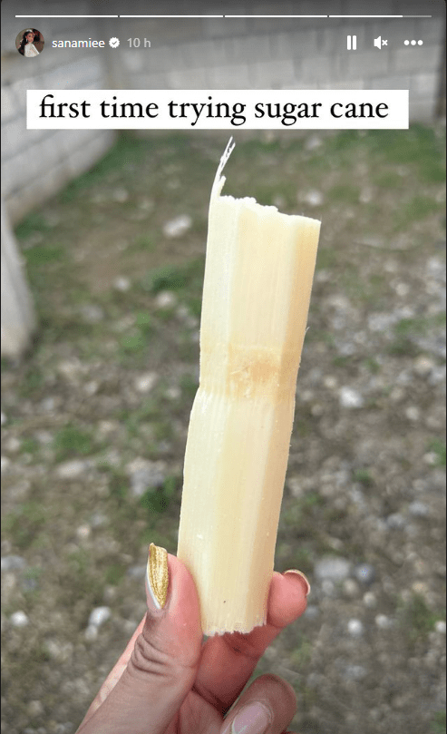 Sanam tried sugar cane