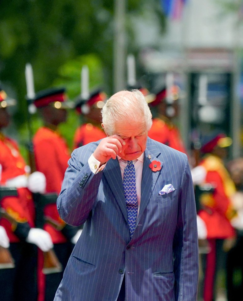 Charles was seen wiping at his cheek after he laid a wreath at the Tomb of the Unknown Warrior