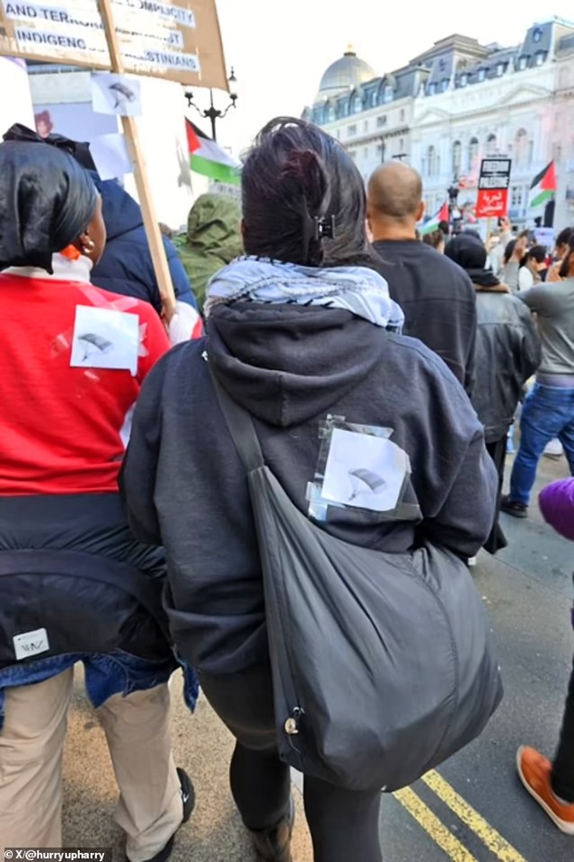 Pro-Palestine protesters wearing Hamas para glider pictured on the streets of London