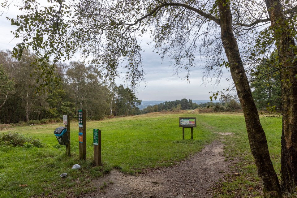 Ashdown Forest in Sussex was the inspiration for A.A.Milne