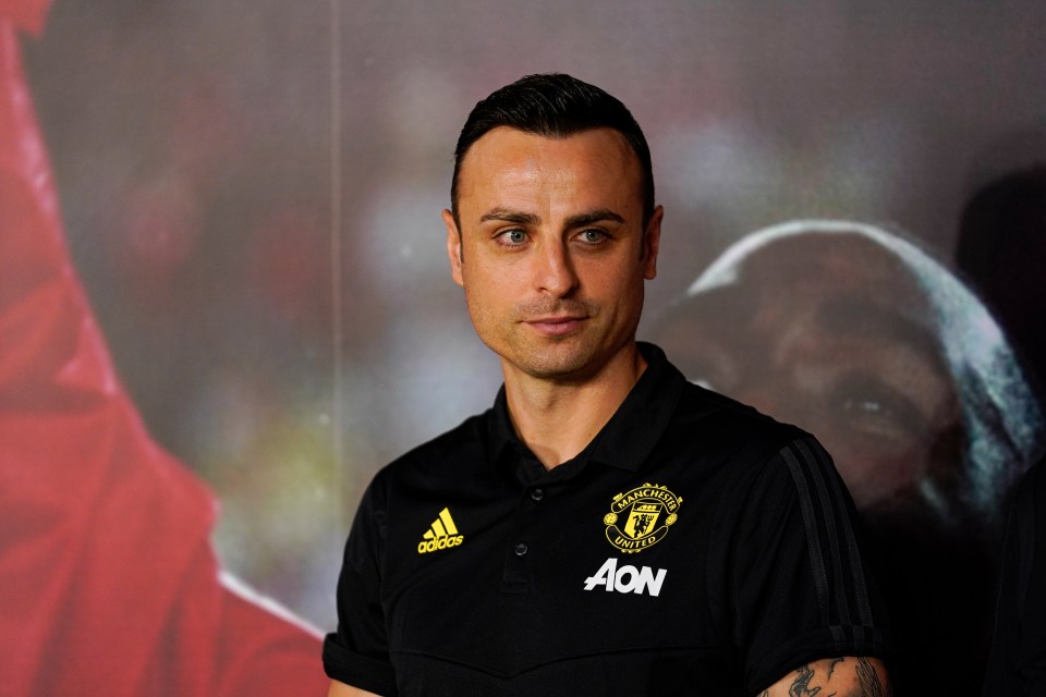 Dimitar Berbatov has revealed he would consider an 'interesting' new career with David de Gea