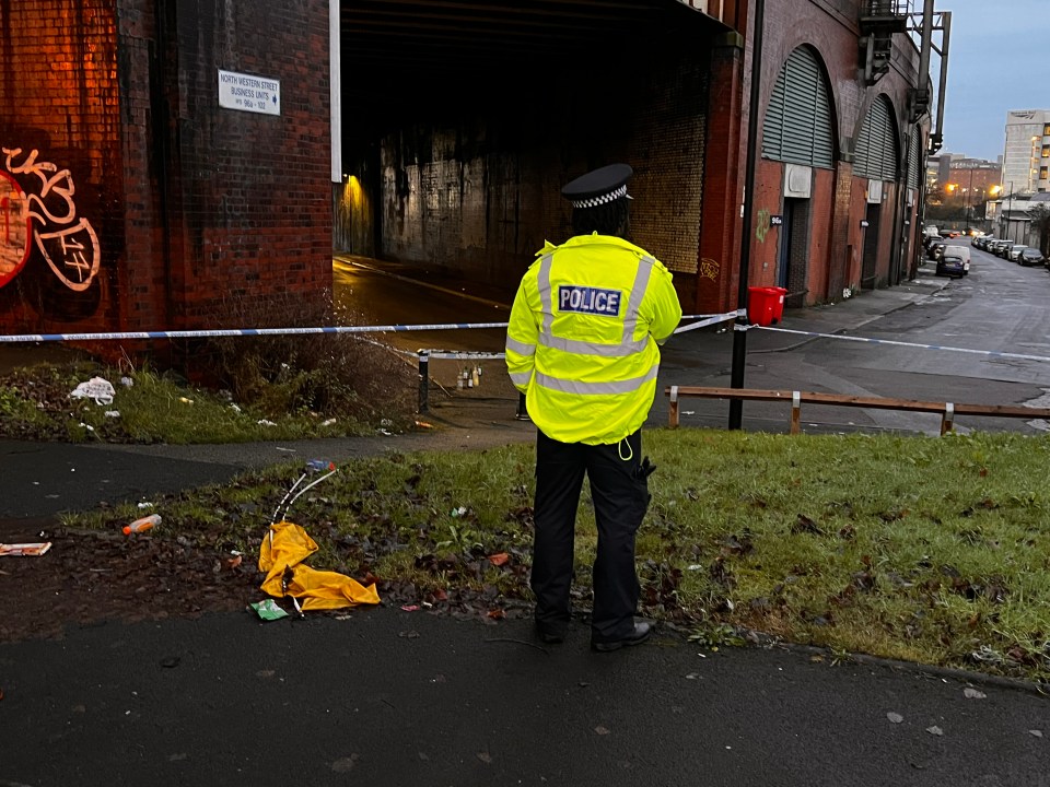 The white hatchback veered across the road before smashing into a railway bridge on Mancunian Way, Manchester, on January 10 last year