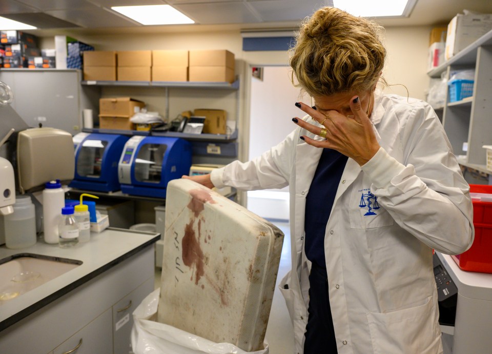 Lab director Dr Nurit Bublil wept as she was overwhelmed at seeing a bloodied cot mattress being analysed