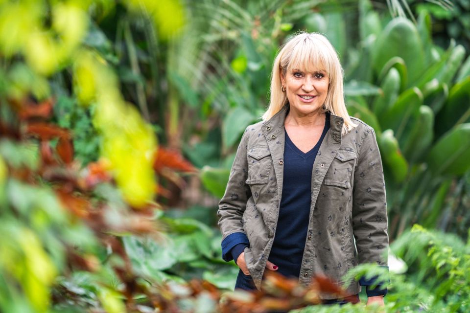 Nicki Chapman's two biggest loves in her life are her rarely-seen music mogul husband and her stunning garden space