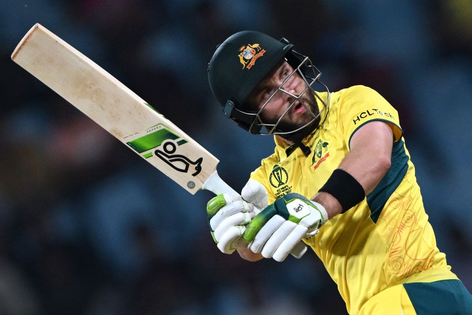 Australia's Josh Inglis played bin man by collecting scattered bags during the windstorm