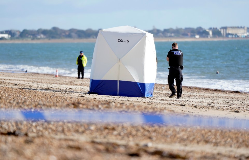 A body was found on a beach in Portsmouth