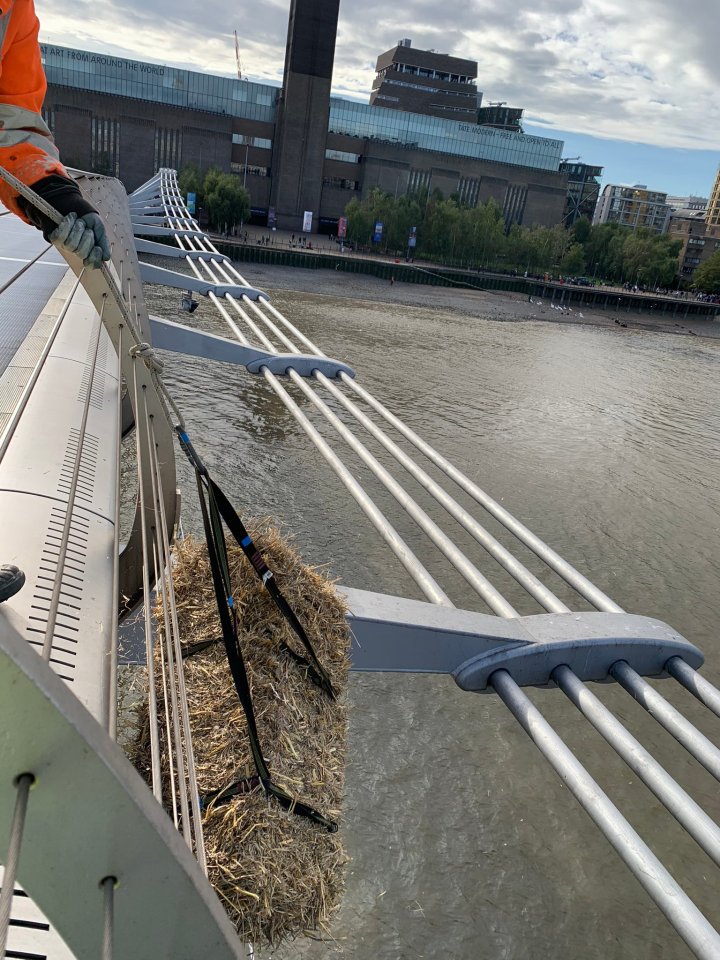 Under the Port of London's by-laws a bale of hay must be hung from a bridge during the day while it is being repaired